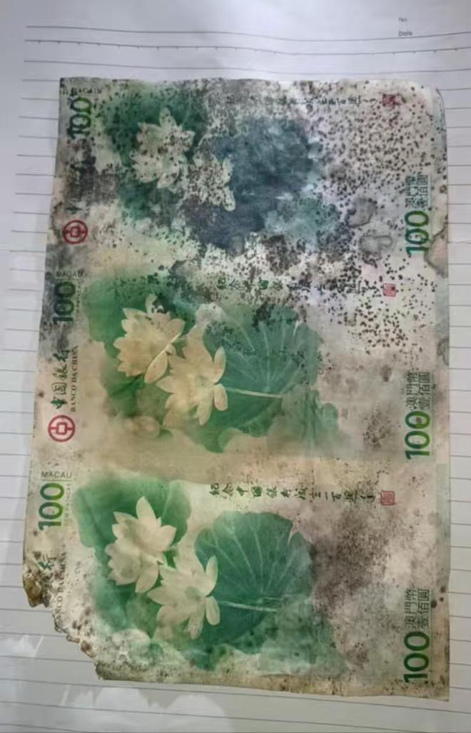 致霉变收藏者需重视保管方法瓦利棋牌纪念钞保存不当导(图2)